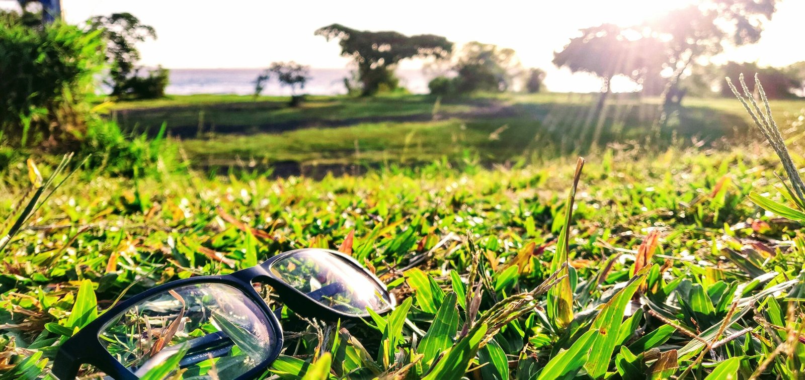 A sleek metal credit card resting on green grass near a golf tee