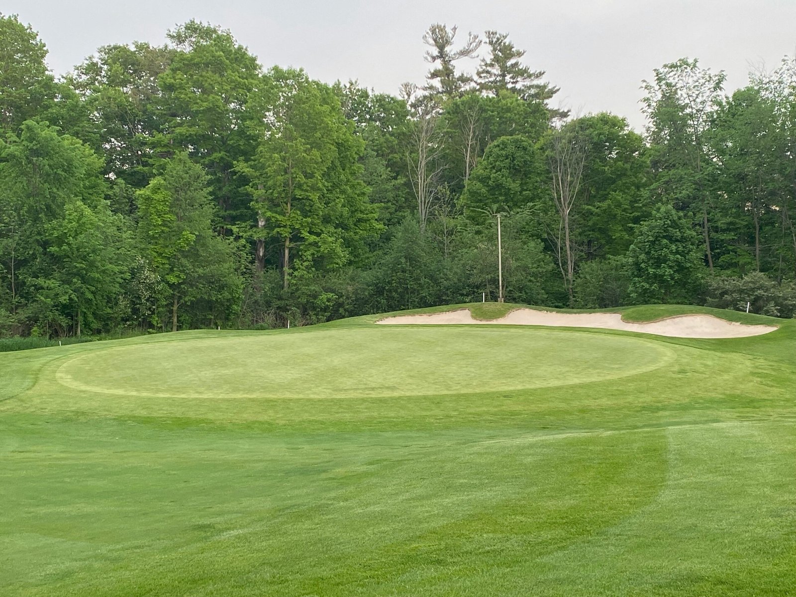 A golfer mid-swing against a scenic backdrop